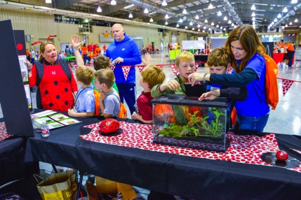 photo of children and our Exploring Insects event